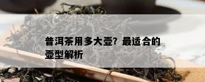 普洱茶用多大壶？最适合的壶型解析