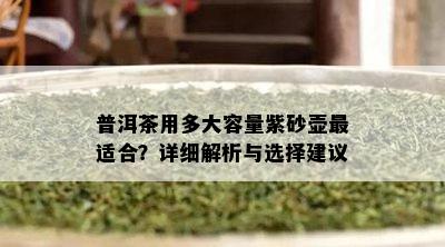 普洱茶用多大容量紫砂壶最适合？详细解析与选择建议