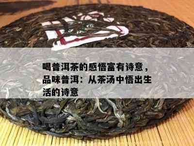 喝普洱茶的感悟富有诗意，品味普洱：从茶汤中悟出生活的诗意