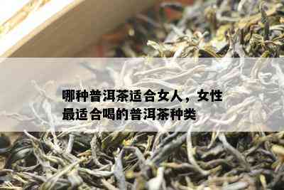 哪种普洱茶适合女人，女性最适合喝的普洱茶种类