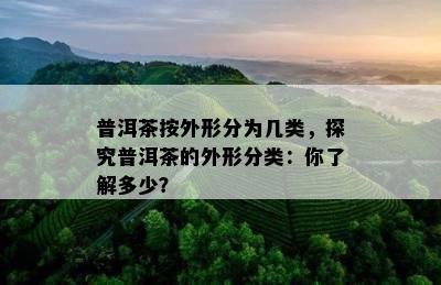 普洱茶按外形分为几类，探究普洱茶的外形分类：你了解多少？