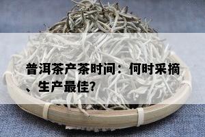 普洱茶产茶时间：何时采摘、生产更佳？