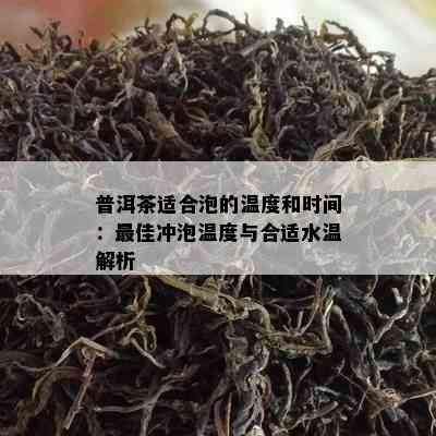 普洱茶适合泡的温度和时间：更佳冲泡温度与合适水温解析