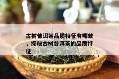 古树普洱茶品质特征有哪些，探秘古树普洱茶的品质特征