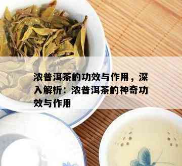 浓普洱茶的功效与作用，深入解析：浓普洱茶的神奇功效与作用