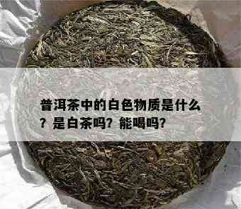 普洱茶中的白色物质是什么？是白茶吗？能喝吗？