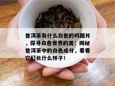 普洱茶有什么白色的吗图片，探寻白色世界的美：揭秘普洱茶中的白色成分，看看它们长什么样子！