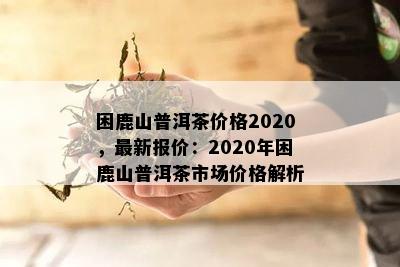 困鹿山普洱茶价格2020，最新报价：2020年困鹿山普洱茶市场价格解析