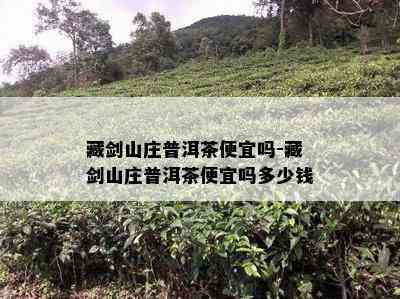 藏剑山庄普洱茶便宜吗-藏剑山庄普洱茶便宜吗多少钱