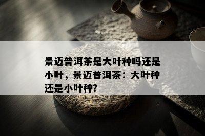 景迈普洱茶是大叶种吗还是小叶，景迈普洱茶：大叶种还是小叶种？