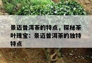 景迈普洱茶的特点，探秘茶叶瑰宝：景迈普洱茶的独特特点