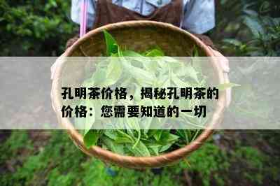 孔明茶价格，揭秘孔明茶的价格：您需要知道的一切