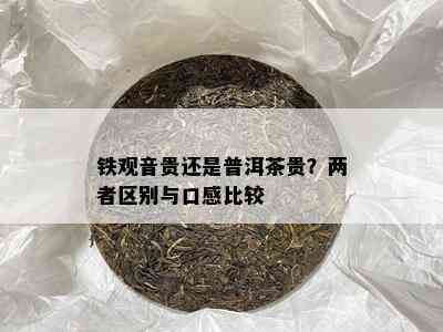 铁观音贵还是普洱茶贵？两者区别与口感比较