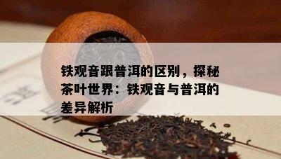 铁观音跟普洱的区别，探秘茶叶世界：铁观音与普洱的差异解析