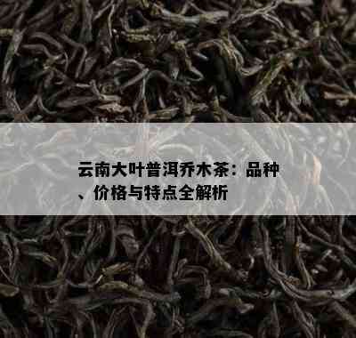 云南大叶普洱乔木茶：品种、价格与特点全解析