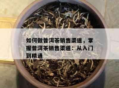 如何做普洱茶销售渠道，掌握普洱茶销售渠道：从入门到精通