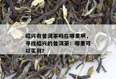 绍兴有普洱茶吗在哪里啊，寻找绍兴的普洱茶：哪里可以买到？