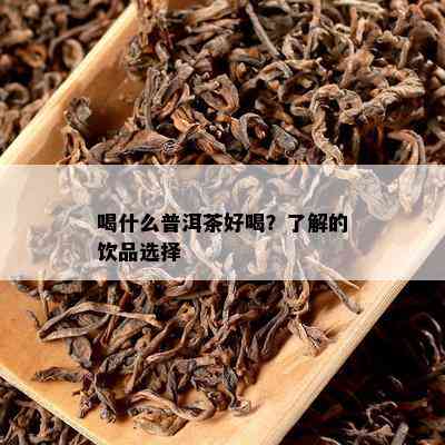 喝什么普洱茶好喝？了解的饮品选择