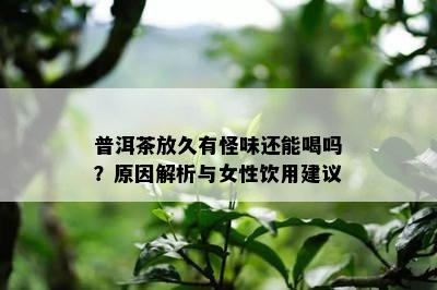 普洱茶放久有怪味还能喝吗？原因解析与女性饮用建议