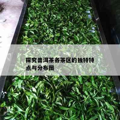 探究普洱茶各茶区的独特特点与分布图