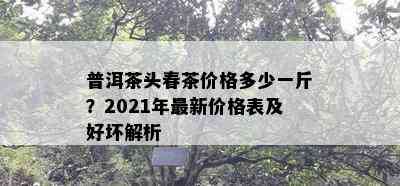 普洱茶头春茶价格多少一斤？2021年最新价格表及好坏解析