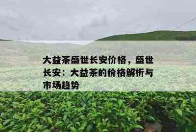 大益茶盛世长安价格，盛世长安：大益茶的价格解析与市场趋势