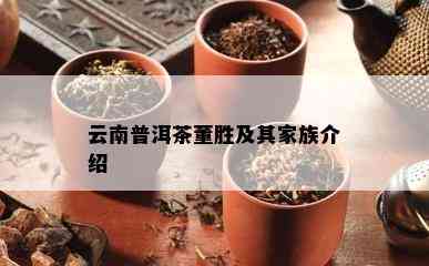 云南普洱茶董胜及其家族介绍