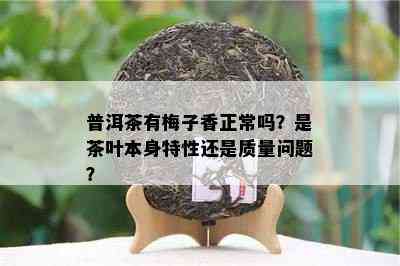 普洱茶有梅子香正常吗？是茶叶本身特性还是质量问题？