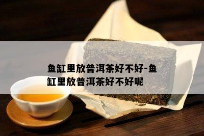 缸里放普洱茶好不好-缸里放普洱茶好不好呢