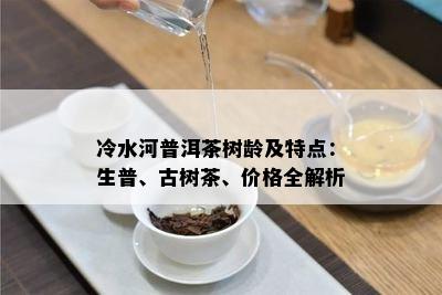 冷水河普洱茶树龄及特点：生普、古树茶、价格全解析