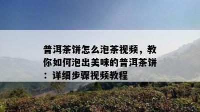 普洱茶饼怎么泡茶视频，教你如何泡出美味的普洱茶饼：详细步骤视频教程