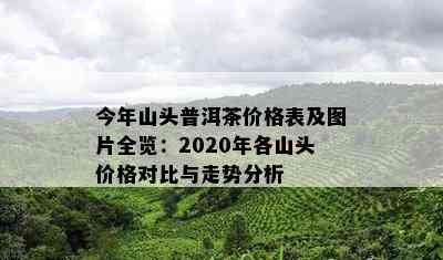 今年山头普洱茶价格表及图片全览：2020年各山头价格对比与走势分析