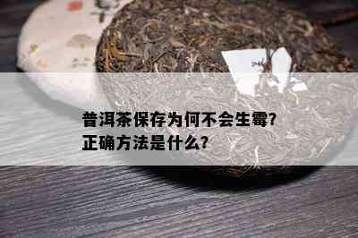 普洱茶保存为何不会生霉？正确方法是什么？