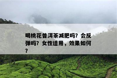 喝桃花普洱茶减肥吗？会反弹吗？女性适用，效果如何？