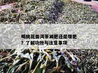 喝桃花普洱茶减肥还是增肥？了解功效与注意事项