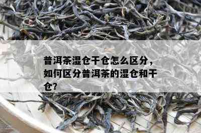 普洱茶湿仓干仓怎么区分，如何区分普洱茶的湿仓和干仓？