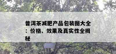 普洱茶减肥产品包装图大全：价格、效果及真实性全揭秘