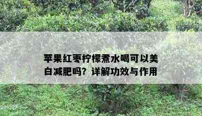 苹果红枣柠檬煮水喝可以美白减肥吗？详解功效与作用