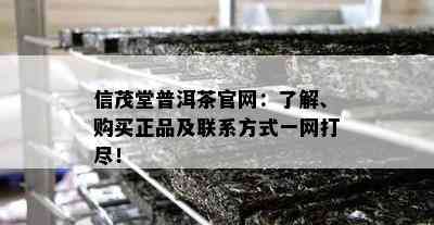 信茂堂普洱茶官网：了解、购买正品及联系方式一网打尽！