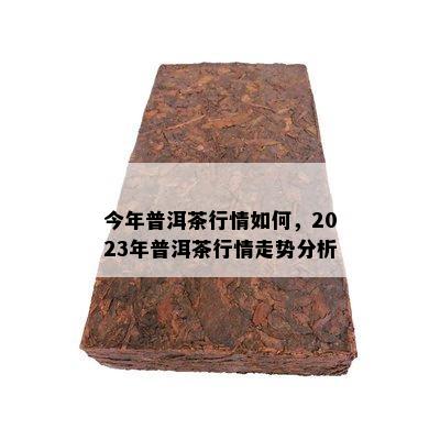 今年普洱茶行情如何，2023年普洱茶行情走势分析