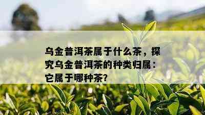 乌金普洱茶属于什么茶，探究乌金普洱茶的种类归属：它属于哪种茶？