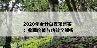 2020年金针白莲预售茶：收藏价值与功效全解析