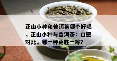 正山小种和普洱茶哪个好喝，正山小种与普洱茶：口感对比，哪一种更胜一筹？