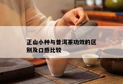 正山小种与普洱茶功效的区别及口感比较