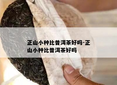 正山小种比普洱茶好吗-正山小种比普洱茶好吗