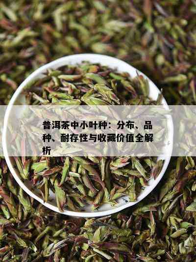 普洱茶中小叶种：分布、品种、耐存性与收藏价值全解析