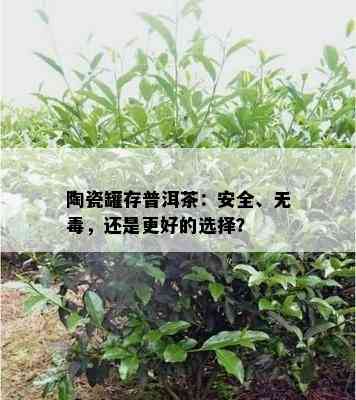 陶瓷罐存普洱茶：安全、无，还是更好的选择？