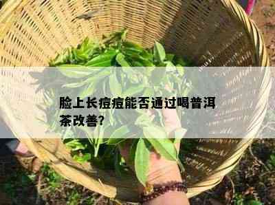 脸上长痘痘能否通过喝普洱茶改善？