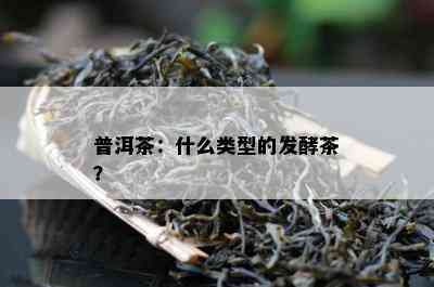 普洱茶：什么类型的发酵茶？