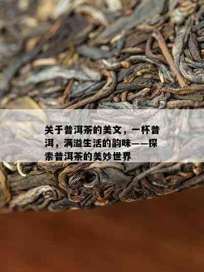 关于普洱茶的美文，一杯普洱，满溢生活的韵味——探索普洱茶的美妙世界